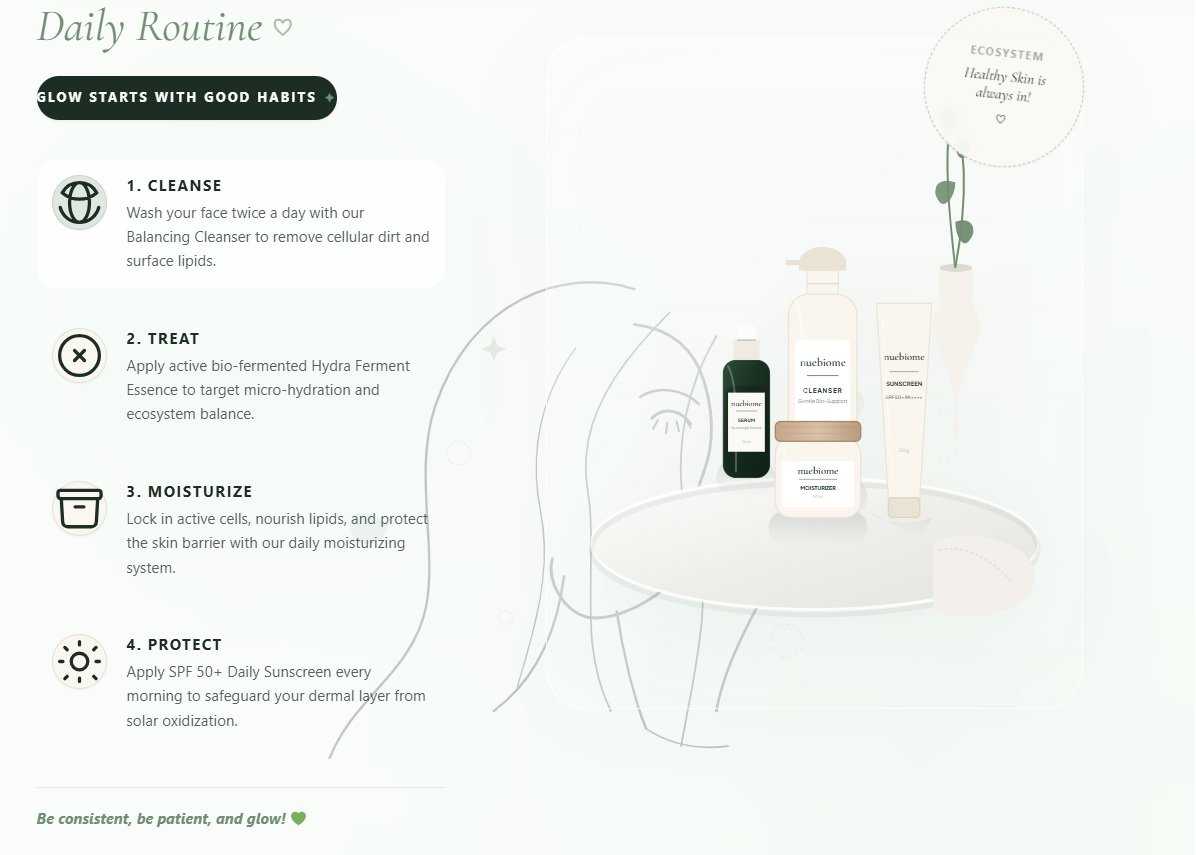 Website Design Example 2